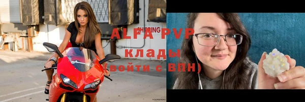 крисы Бородино