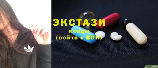 крисы Бородино