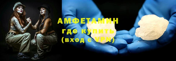 крисы Бородино