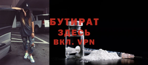 крисы Бородино
