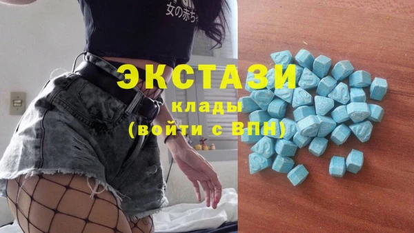 крисы Бородино
