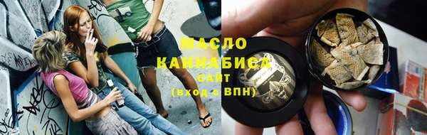крисы Бородино