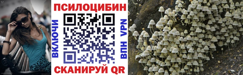 hydra ТОР  купить  сайты  Коркино  Псилоцибиновые грибы Magic Shrooms 